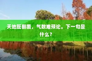 天地既翻覆，气数难预论。下一句是什么？