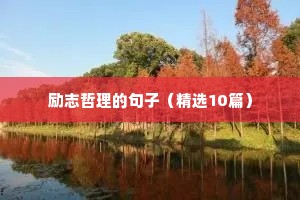 励志哲理的句子（精选10篇）