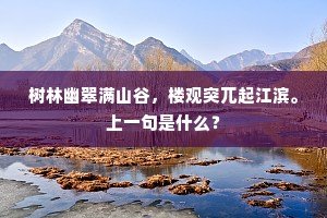 树林幽翠满山谷，楼观突兀起江滨。上一句是什么？