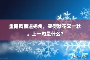 重阳风雨遍扬州，买得秋花又一秋。上一句是什么？