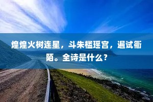煌煌火树连星，斗朱槛瑶宫，遍试衢陌。全诗是什么？