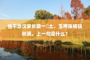 独不念汉家长陵一抔土，玉柙珠襦锁秋雨。上一句是什么？