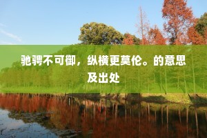 驰骋不可御，纵横更莫伦。的意思及出处