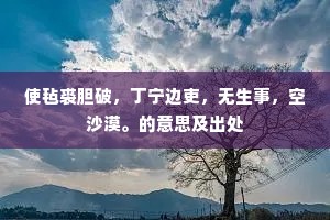 使毡裘胆破，丁宁边吏，无生事，空沙漠。的意思及出处