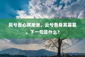 风兮吾心其淅淅，云兮吾身其幕幕。下一句是什么？