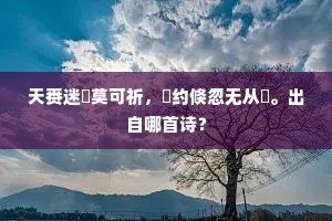 天赉迷盳莫可祈，仢约倏忽无从繴。出自哪首诗？