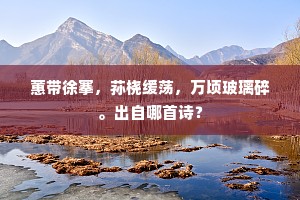 蕙带徐搴，荪桡缓荡，万顷玻璃碎。出自哪首诗？