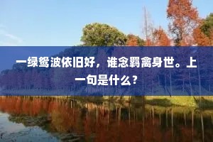 一绿鸳波依旧好，谁念羁禽身世。上一句是什么？