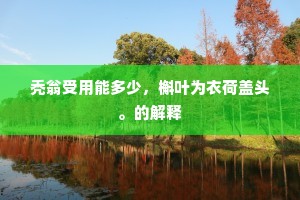 秃翁受用能多少，槲叶为衣荷盖头。的解释
