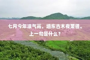 七月今年凉气高，墙东古木夜萧骚。上一句是什么？