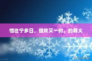 惜往宁多日，徵欢又一时。的释义