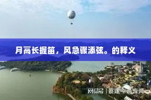 月高长握笛，风急骤添弦。的释义