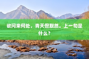 欲问来何处，青天但默然。上一句是什么？