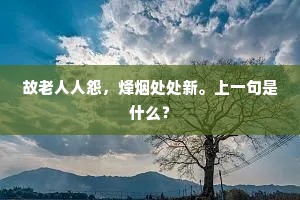 故老人人怨，烽烟处处新。上一句是什么？