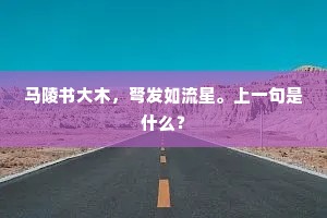马陵书大木，弩发如流星。上一句是什么？
