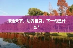 泽浩天下，功齐百灵。下一句是什么？