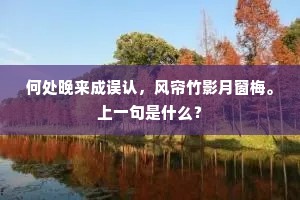何处晚来成误认，风帘竹影月窗梅。上一句是什么？