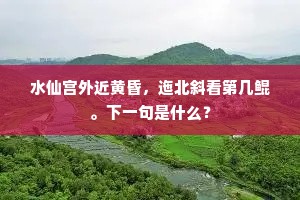 水仙宫外近黄昏，迤北斜看第几鲲。下一句是什么？