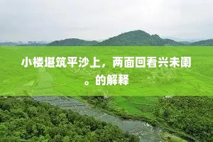 小楼堪筑平沙上，两面回看兴未阑。的解释