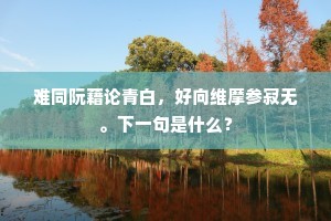 难同阮藉论青白，好向维摩参寂无。下一句是什么？