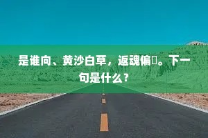 是谁向、黄沙白草，返魂偏爇。下一句是什么？