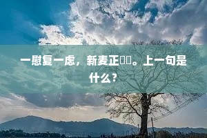 一慰复一虑，新麦正芃芃。上一句是什么？