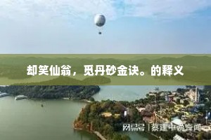 却笑仙翁，觅丹砂金诀。的释义