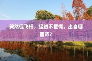 毅然促飞橹，猛进不复懦。出自哪首诗？