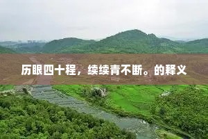 历眼四十程，续续青不断。的释义