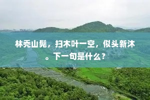 林秃山髡，扫木叶一空，似头新沐。下一句是什么？