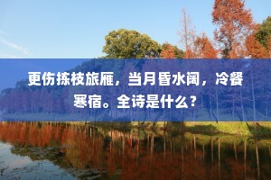 更伤拣枝旅雁，当月昏水阔，冷餐寒宿。全诗是什么？