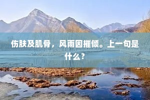 伤肤及肌骨，风雨因摧倾。上一句是什么？