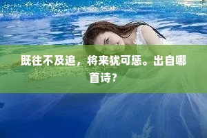 既往不及追，将来犹可惩。出自哪首诗？