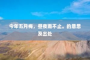 今年五月梅，昼夜雨不止。的意思及出处
