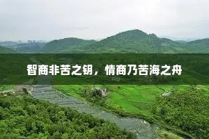 智商非苦之钥，情商乃苦海之舟