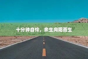 十分钟自怜，余生向阳而生