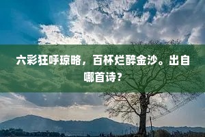 六彩狂呼琼略，百杯烂醉金沙。出自哪首诗？