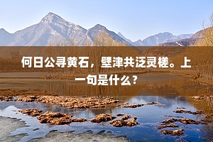 何日公寻黄石，壁津共泛灵槎。上一句是什么？