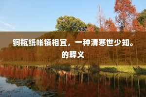 铜瓶纸帐镇相宜，一种清寒世少知。的释义