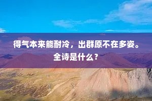 得气本来能耐冷，出群原不在多姿。全诗是什么？