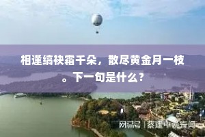 相逢缟袂霜千朵，散尽黄金月一枝。下一句是什么？