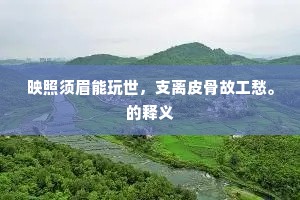 映照须眉能玩世，支离皮骨故工愁。的释义