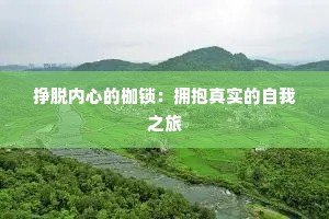 挣脱内心的枷锁：拥抱真实的自我之旅