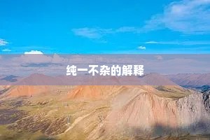 纯一不杂的解释