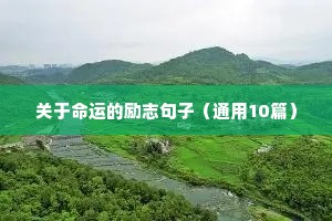 关于命运的励志句子（通用10篇）