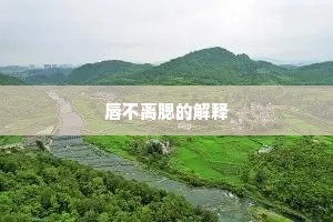 唇不离腮的解释