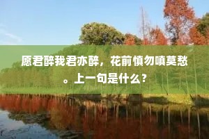 愿君醉我君亦醉，花前慎勿嗔莫愁。上一句是什么？