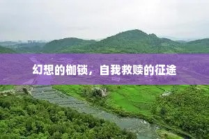 幻想的枷锁，自我救赎的征途