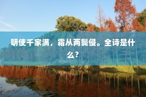 明使千家满，霜从两鬓侵。全诗是什么？