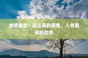 绝境重生：逼出来的辉煌，人性磨砺的勋章